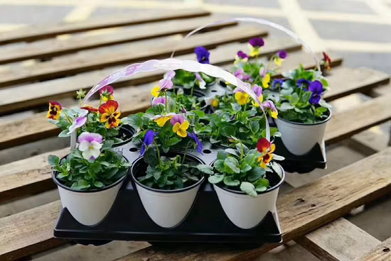 Vasi da fiori termoformabili, vasi da vivaio rotondi, fioriere da giardino in plastica nera